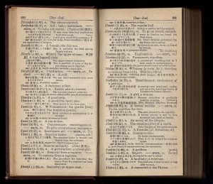 The Great Passage old Japanese dictionary